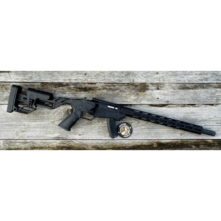 Ruger Precision Rifle .22LR